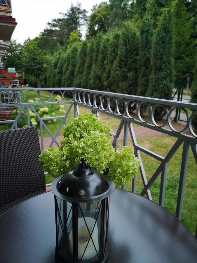 Arboretum Apartament