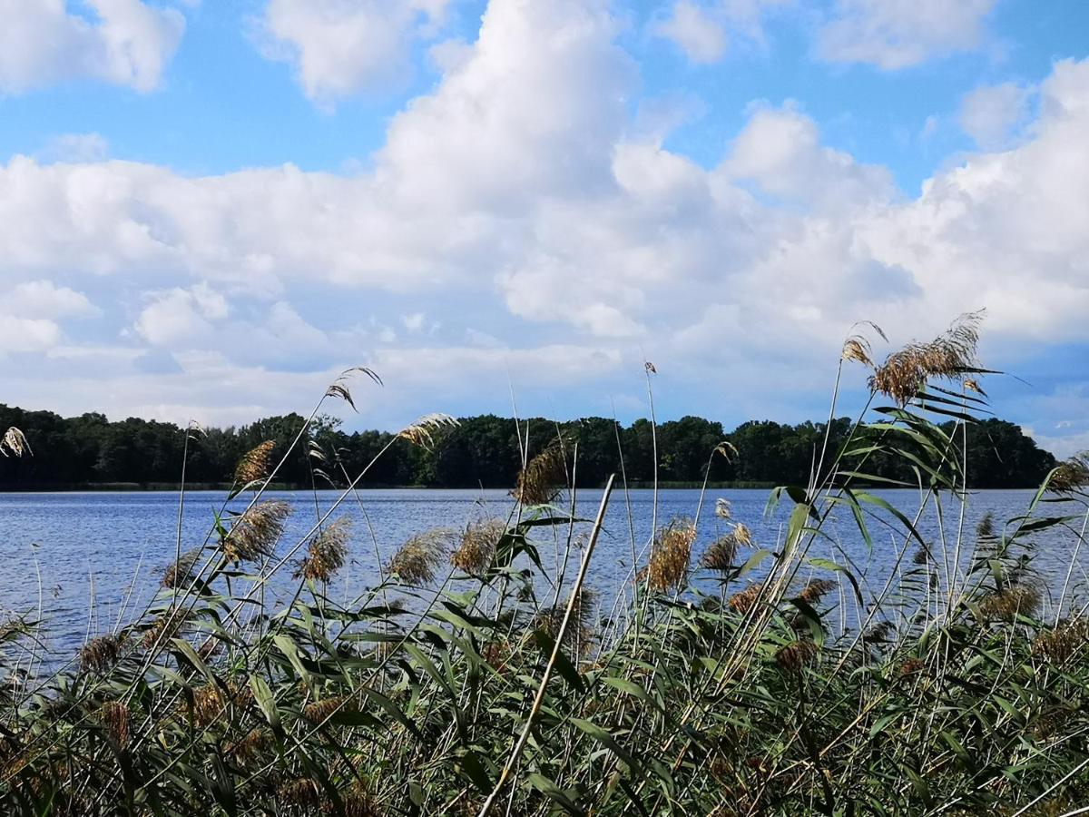 Arboretum Kornik